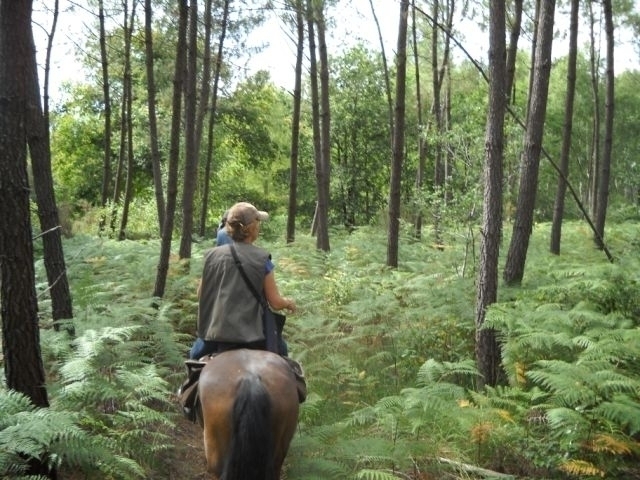 Sortie de pleine nature en Gironde